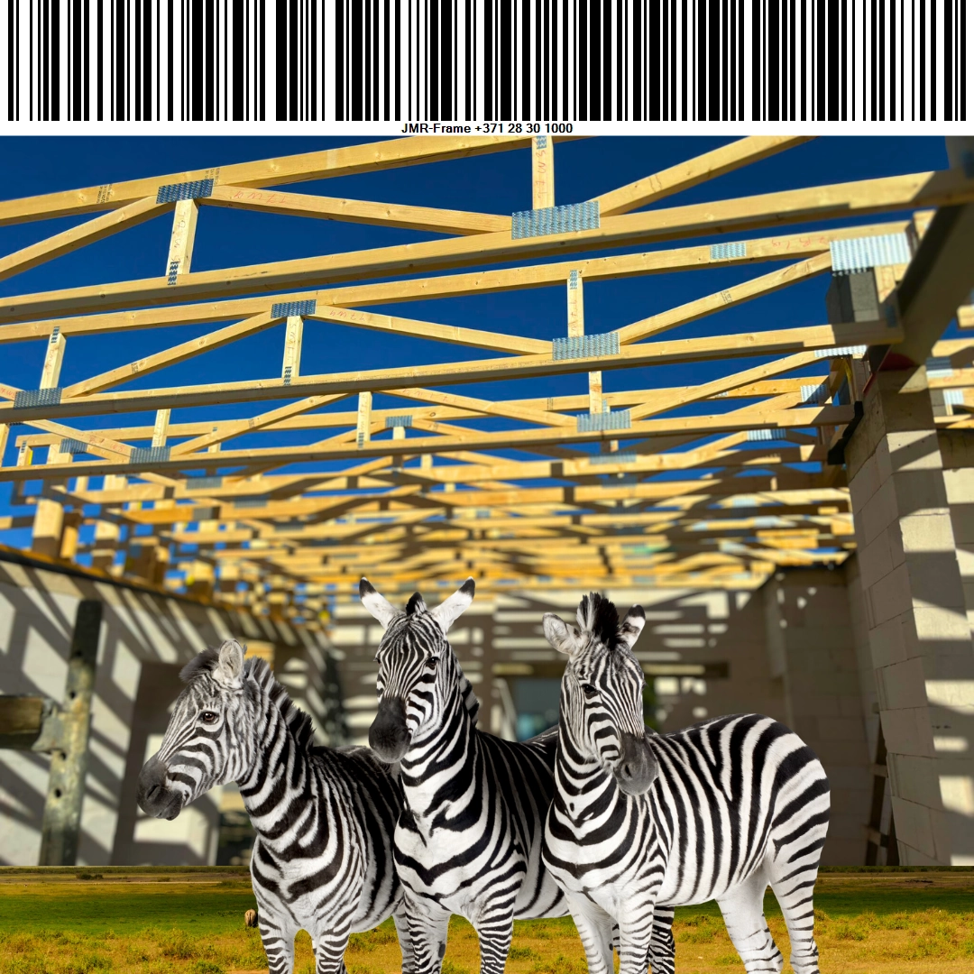 Zebras